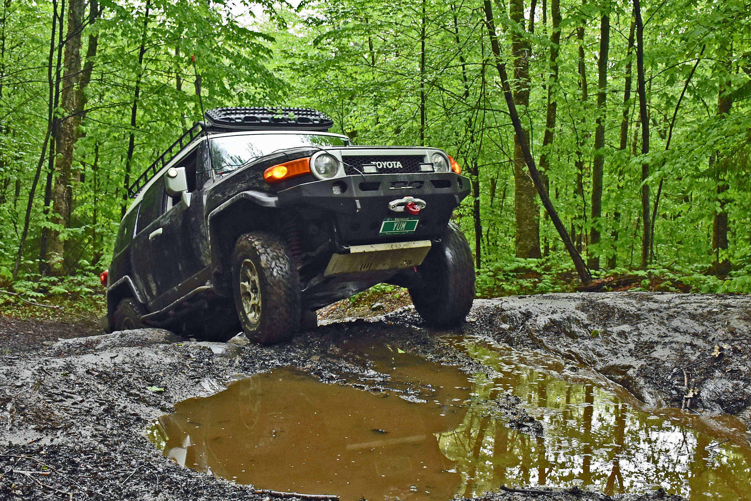 Raven Grayson King S Fj Cruiser